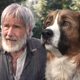 Illustration for article titled I Am Extremely Here for This Clip of Harrison Ford Playing With a CGI Dog
